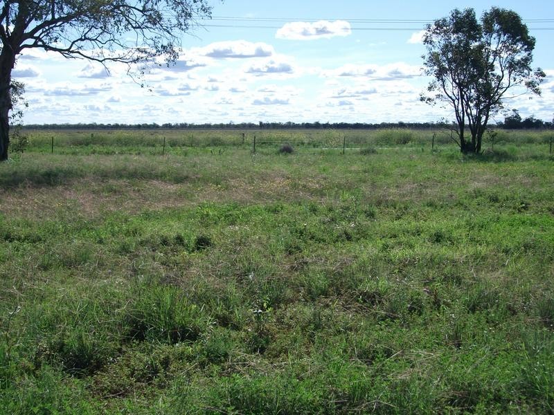 54 Ash Rd, Goondiwindi QLD 4390