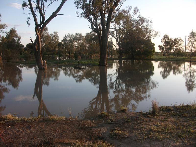 54 Ash Rd, Goondiwindi QLD 4390