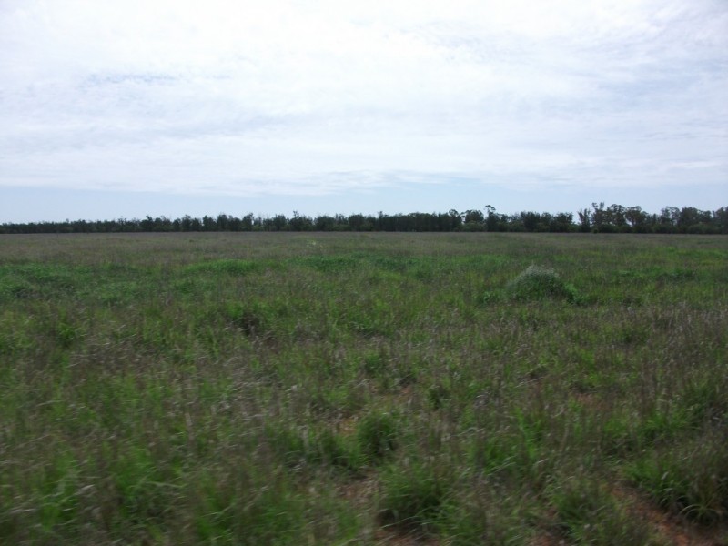 3225 Honeymah Lane, Dirranbandi QLD 4486