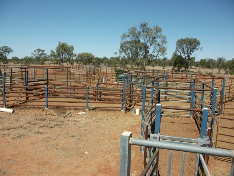 3225 Honeymah Lane, Dirranbandi QLD 4486