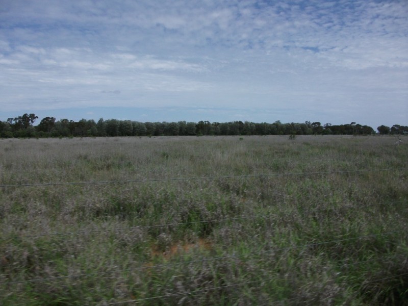 3225 Honeymah Lane, Dirranbandi QLD 4486