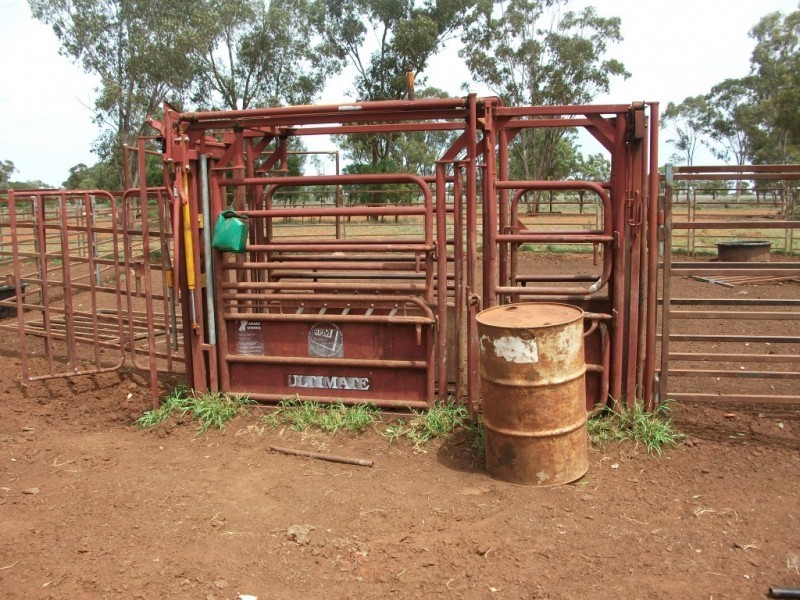 3225 Honeymah Lane, Dirranbandi QLD 4486