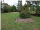 60 Recreation St, Talwood QLD 4496
