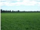 10 Dolgelly Bore Rd, Goondiwindi QLD 4390