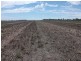 10 Dolgelly Bore Rd, Goondiwindi QLD 4390