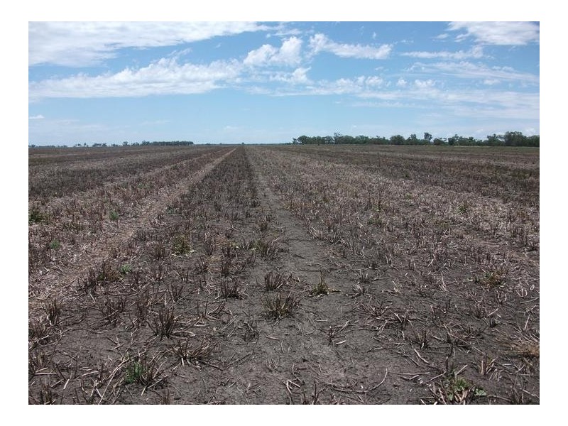 10 Dolgelly Bore Rd, Goondiwindi QLD 4390