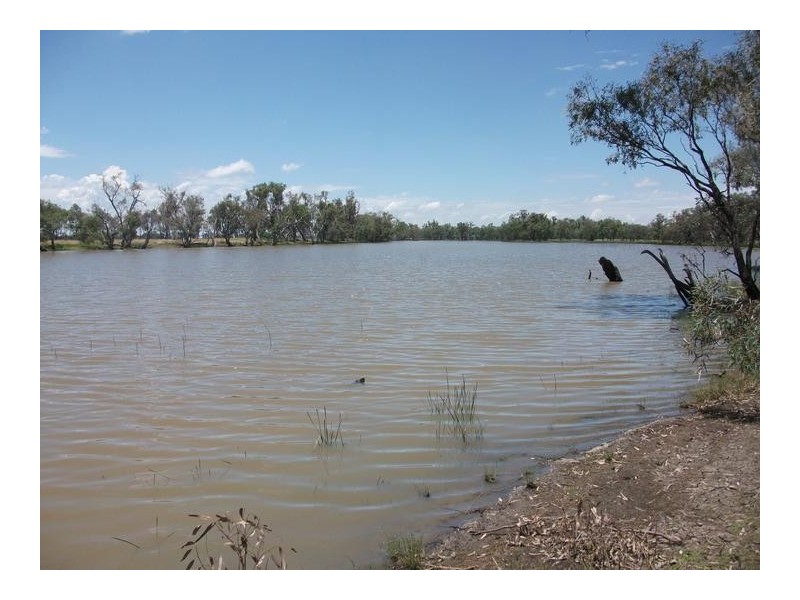 10 Dolgelly Bore Rd, Goondiwindi QLD 4390