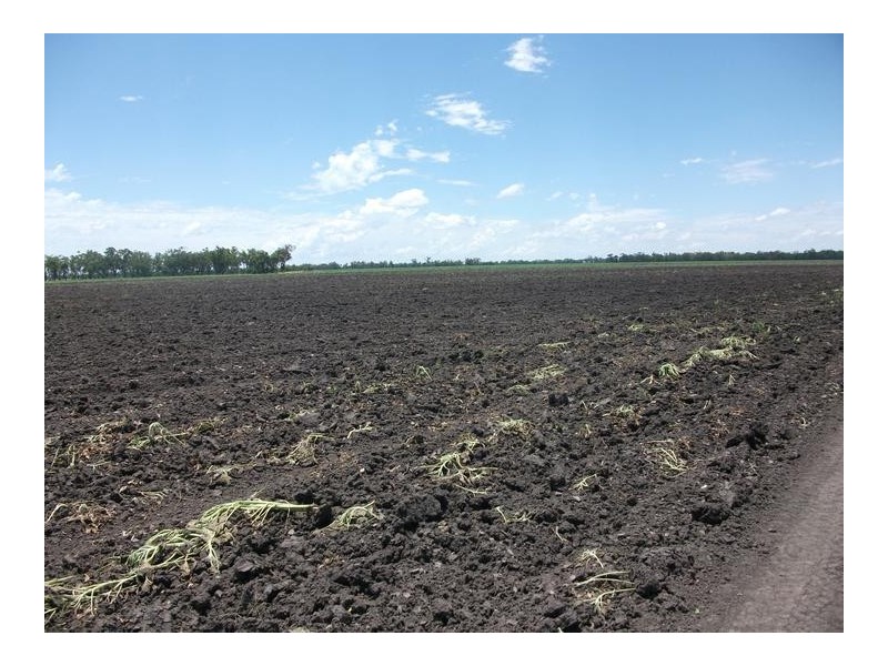 10 Dolgelly Bore Rd, Goondiwindi QLD 4390
