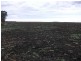 10 Dolgelly Bore Rd, Goondiwindi QLD 4390