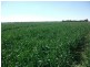 10 Dolgelly Bore Rd, Goondiwindi QLD 4390