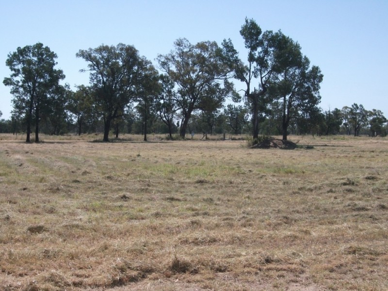Goondiwindi QLD 4390