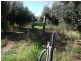10 Tobacco Rd, Inglewood QLD 4387