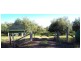 10 Tobacco Rd, Inglewood QLD 4387
