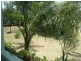 32 Eena St, Yelarbon QLD 4388