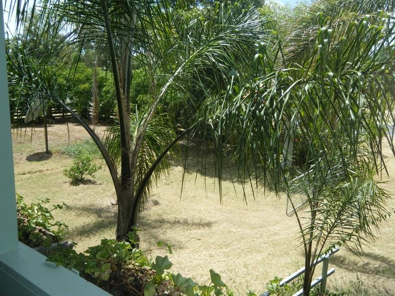 32 Eena St, Yelarbon QLD 4388