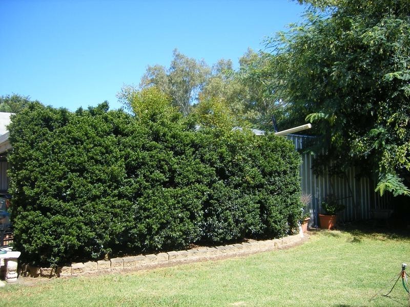 Goondiwindi QLD 4390