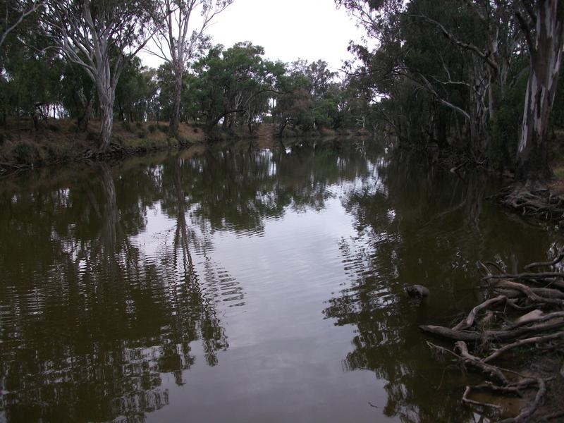 120 Glenoak Rd, Goondiwindi QLD 4390