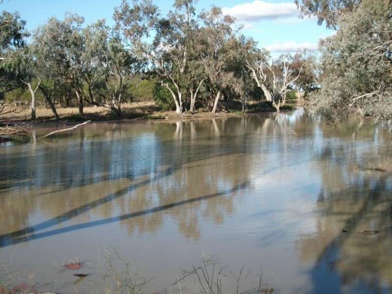 * Goodar Rd, Goondiwindi QLD 4390