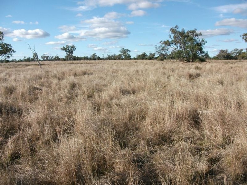 * Goodar Rd, Goondiwindi QLD 4390