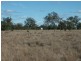 * Goodar Rd, Goondiwindi QLD 4390