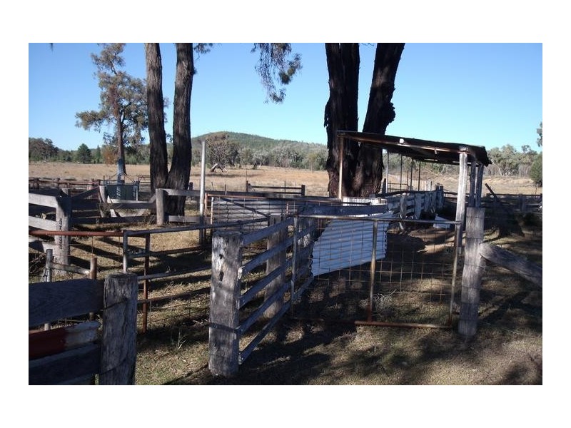 15569 Bruxner Hwy, Yetman NSW 2410