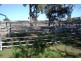 15569 Bruxner Hwy, Yetman NSW 2410