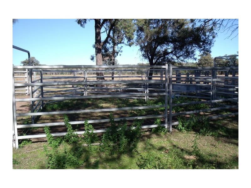15569 Bruxner Hwy, Yetman NSW 2410