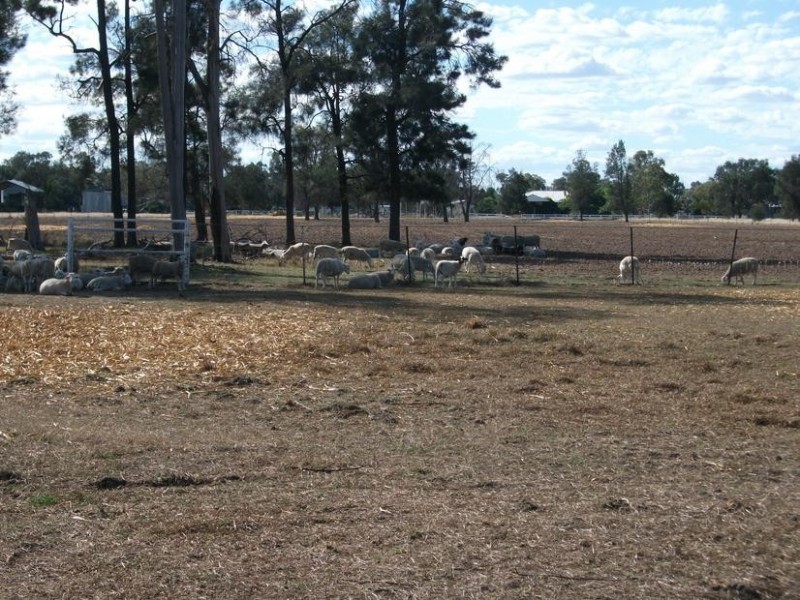 1 Yelarbon – Kurumbul Rd, Goondiwindi QLD 4390