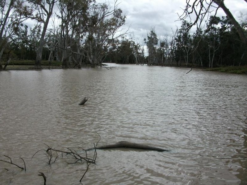 Billa Billa QLD 4390