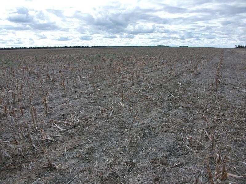 Billa Billa QLD 4390