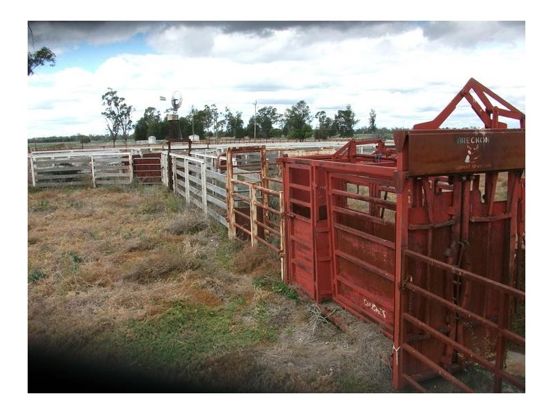 Billa Billa QLD 4390