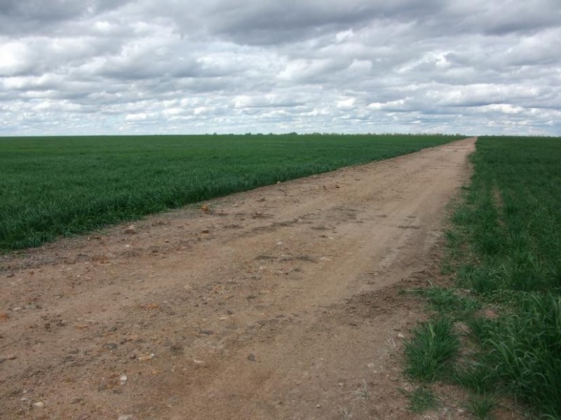 Billa Billa QLD 4390