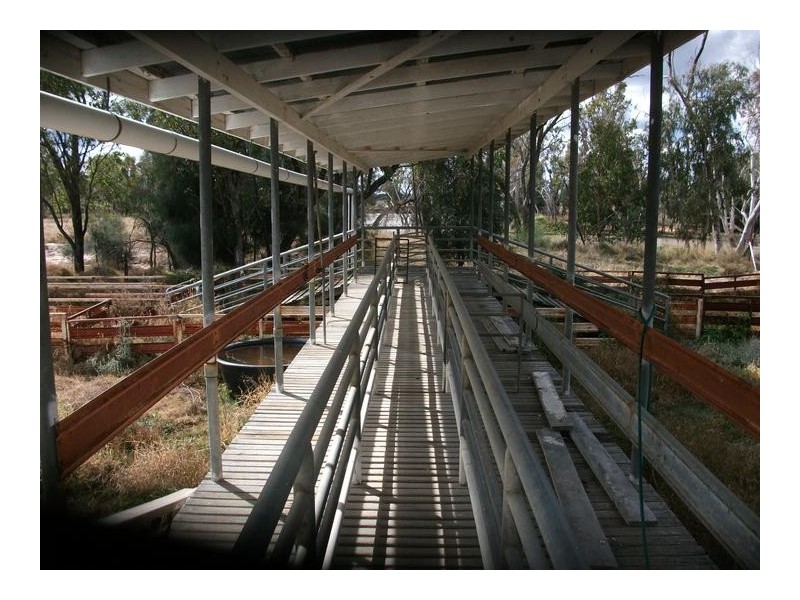 Billa Billa QLD 4390