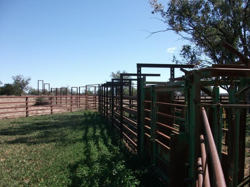 Goondiwindi QLD 4390