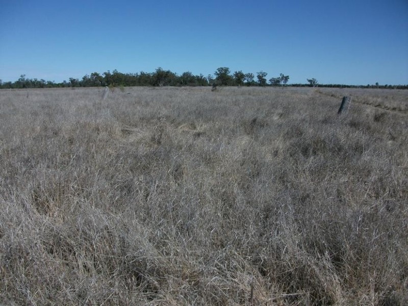 Goondiwindi QLD 4390