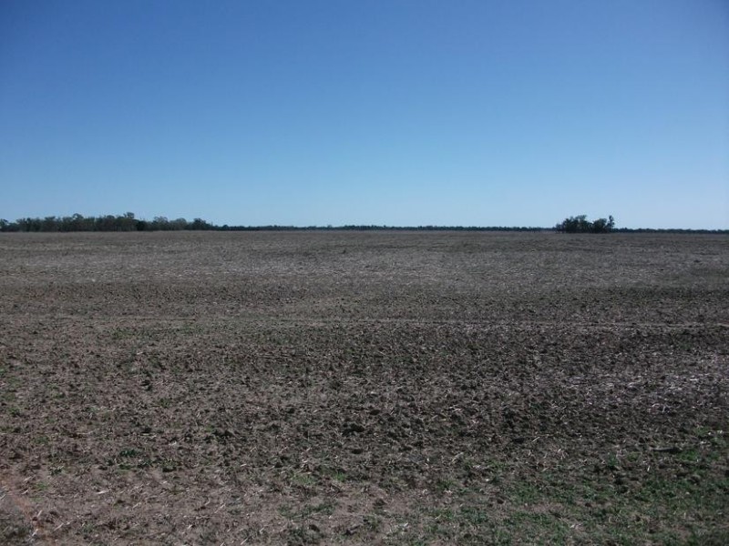 Goondiwindi QLD 4390