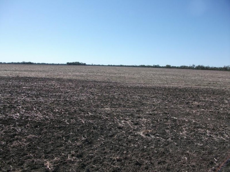 Goondiwindi QLD 4390