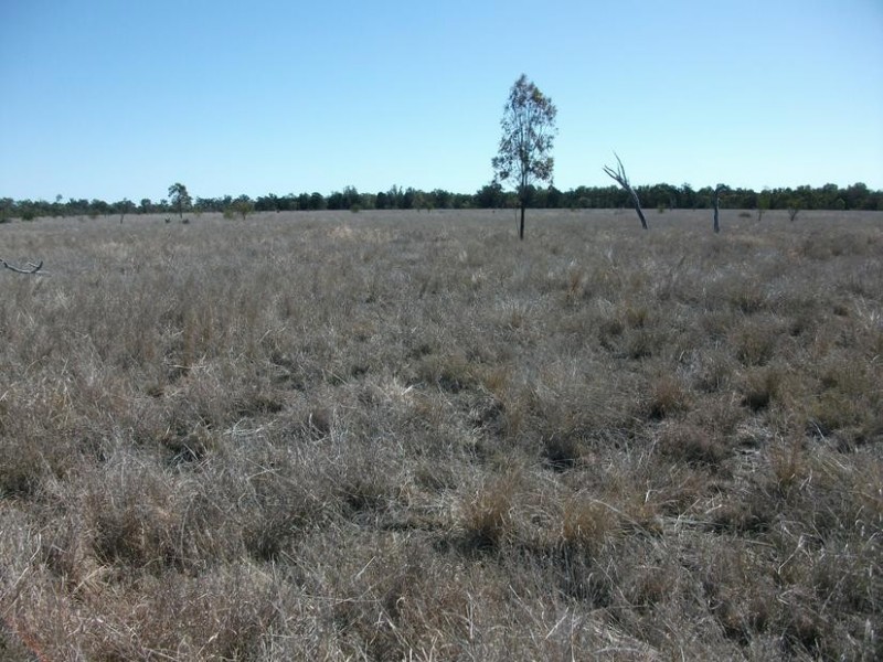 Goondiwindi QLD 4390