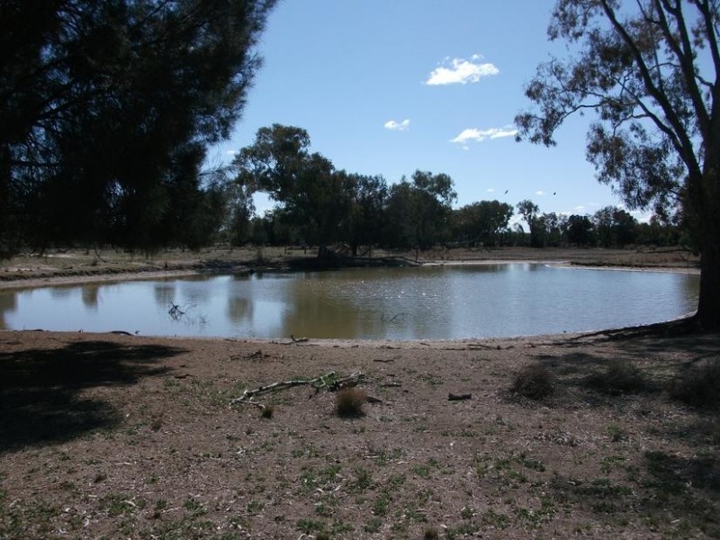 Goondiwindi QLD 4390