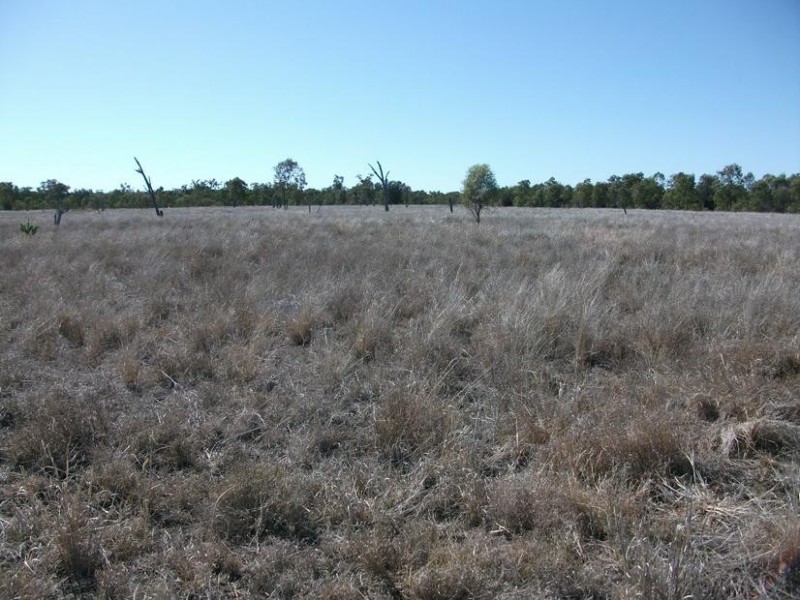 Goondiwindi QLD 4390