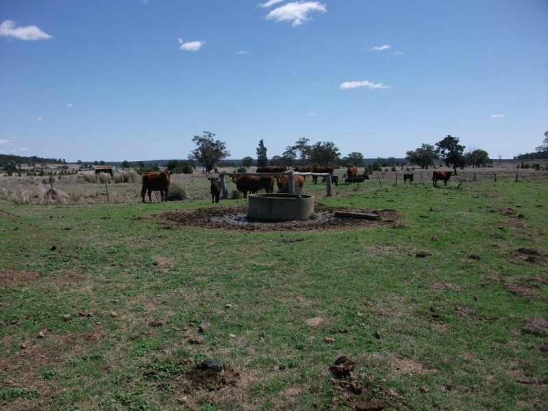 226 Wambianna Rd, Wyaga QLD 4390