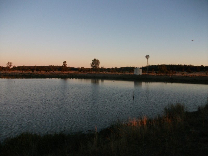 226 Wambianna Rd, Wyaga QLD 4390