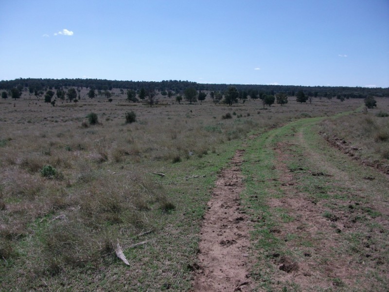 226 Wambianna Rd, Wyaga QLD 4390