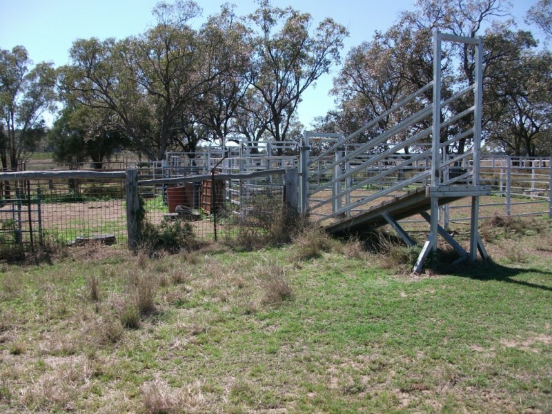 226 Wambianna Rd, Wyaga QLD 4390