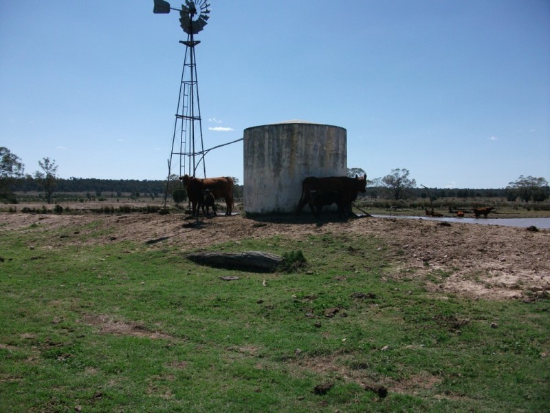 226 Wambianna Rd, Wyaga QLD 4390