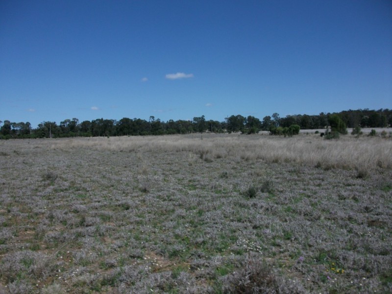 226 Wambianna Rd, Wyaga QLD 4390