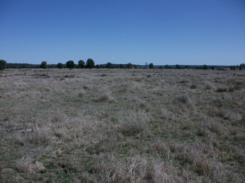 226 Wambianna Rd, Wyaga QLD 4390