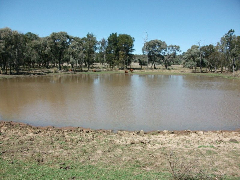 226 Wambianna Rd, Wyaga QLD 4390