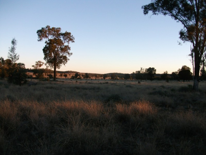 226 Wambianna Rd, Wyaga QLD 4390