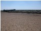 17462 Jakelwar – Goodooga Rd, Hebel QLD 4486